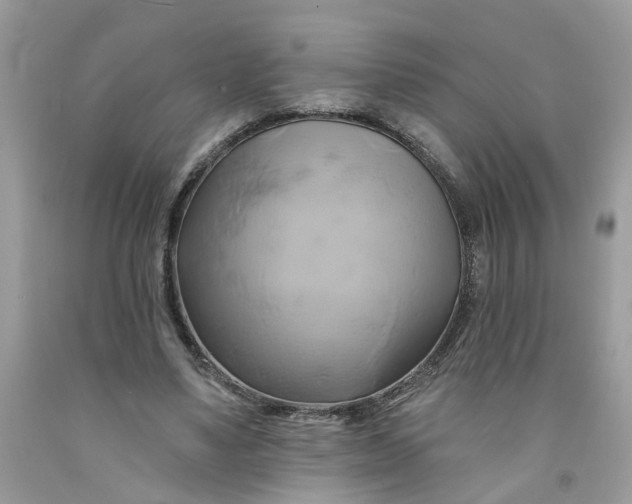 X0000091590491200709101043