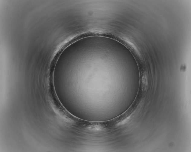 X0000091590492200709101043