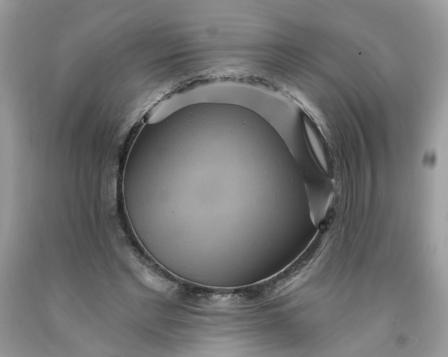 X0000091590493200709101043