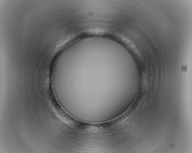 X0000091590494200709101043