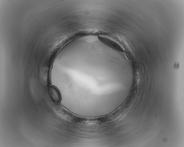 X0000091590495200709101043