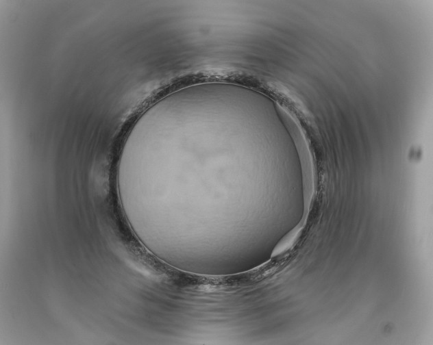 X0000091590496200709101043