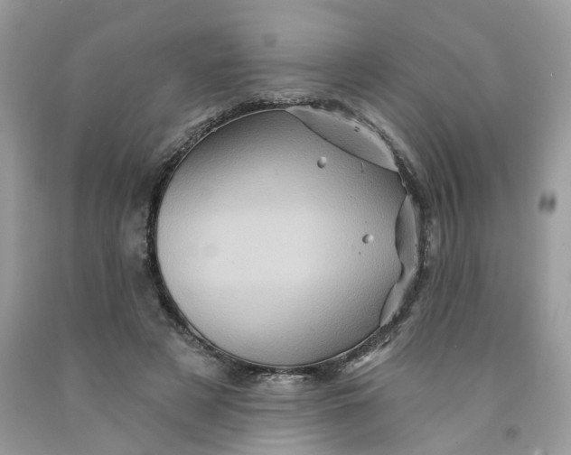 X0000091590497200709101043