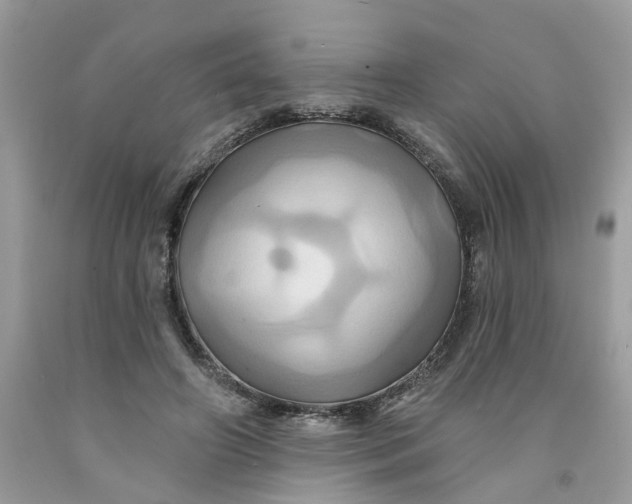 X0000091590498200709101043