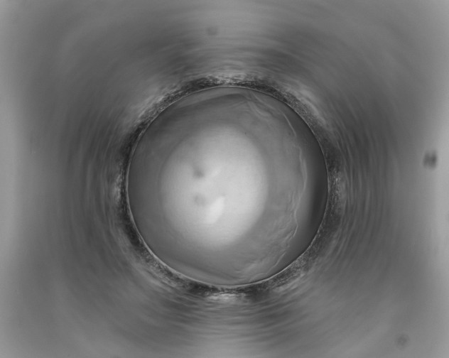 X0000091590499200709101043