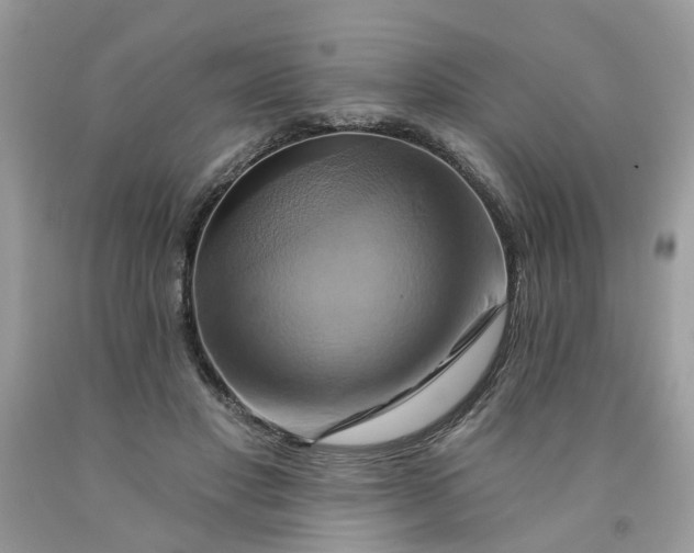 X0000091590501200709101043