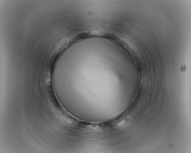 X0000091590502200709101043