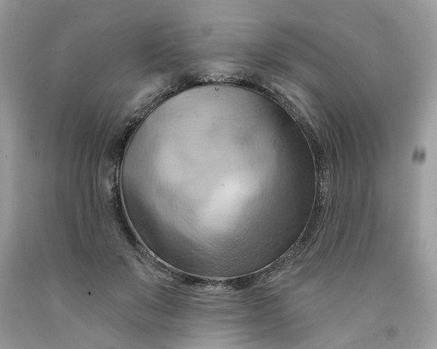 X0000091590503200709101043