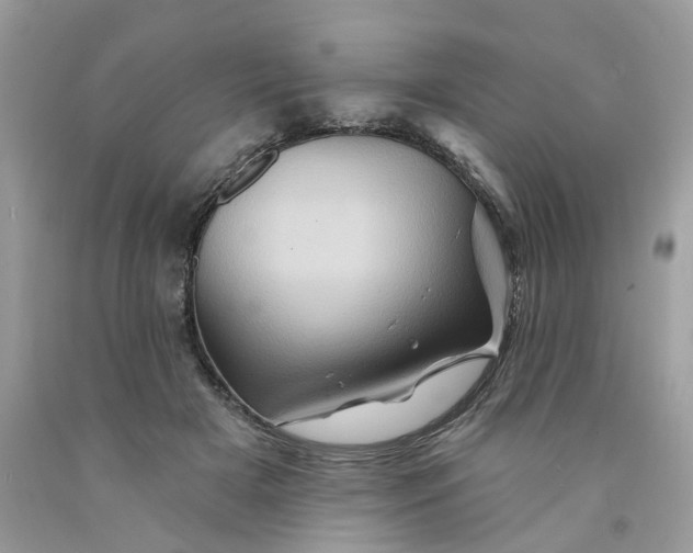 X0000091590505200709101043