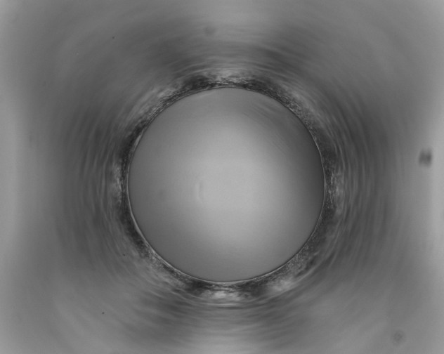 X0000091590506200709101043