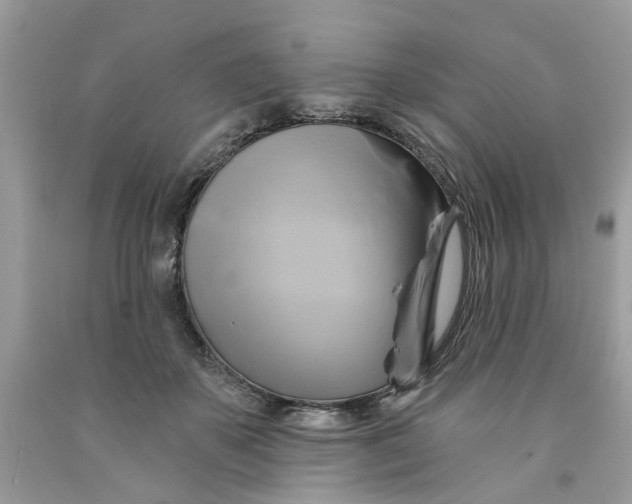 X0000091590507200709101043