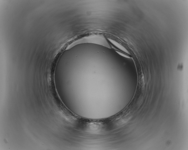 X0000091590508200709101043