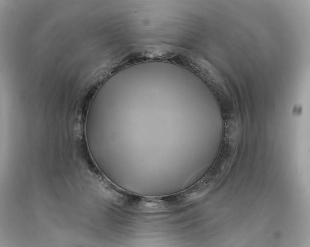 X0000091590510200709101043