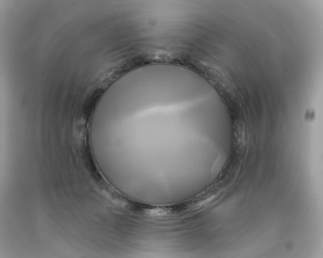 X0000091590511200709101043