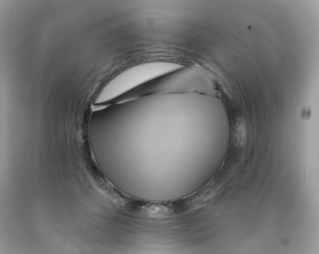 X0000091590512200709101043