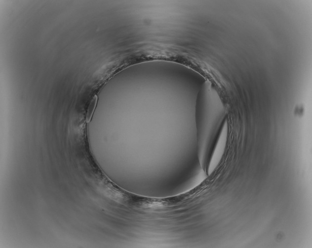 X0000091590513200709101043