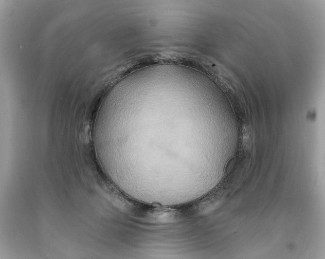 X0000091590514200709101043