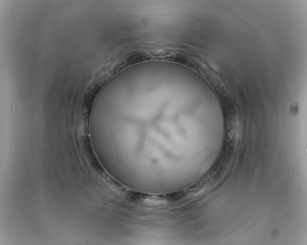 X0000091590515200709101043