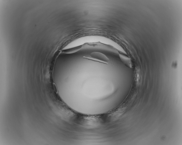 X0000091590516200709101043