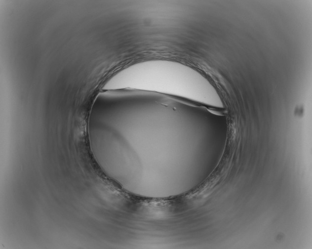 X0000091590517200709101043