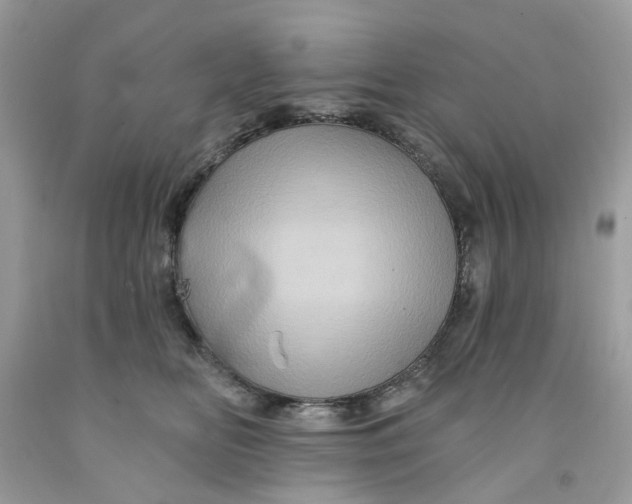 X0000091590518200709101043