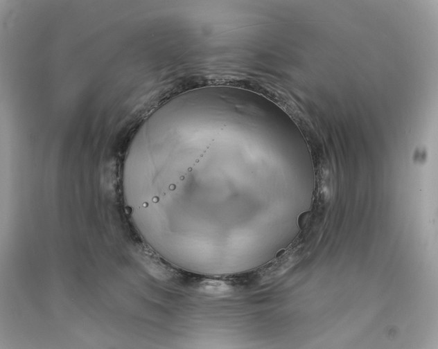 X0000091590519200709101043