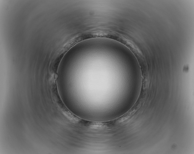 X0000091590521200709101043