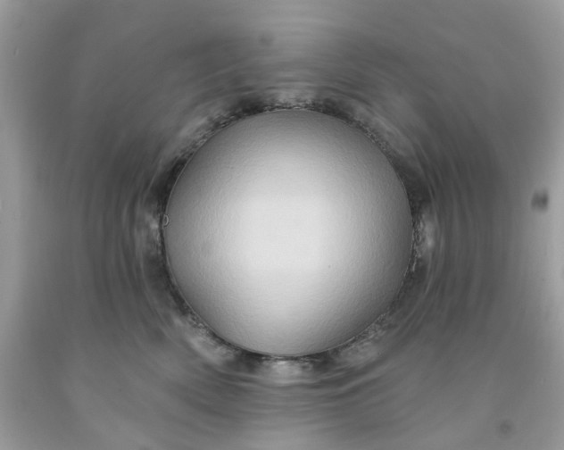 X0000091590522200709101043