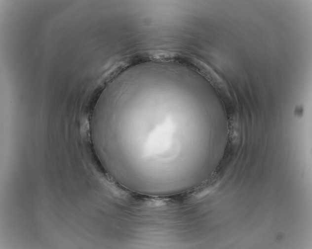 X0000091590523200709101043