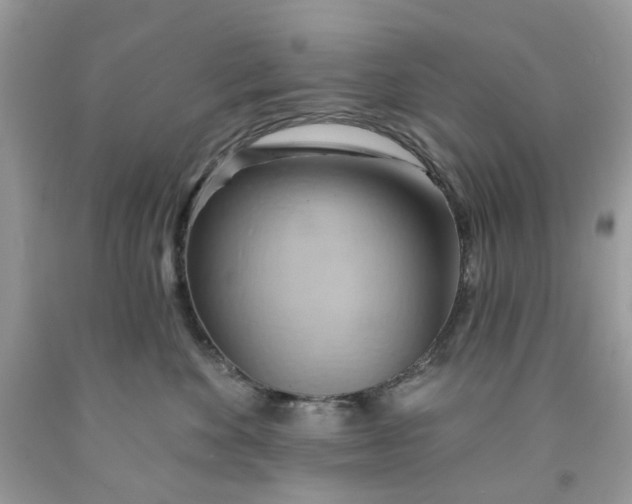 X0000091590524200709101043