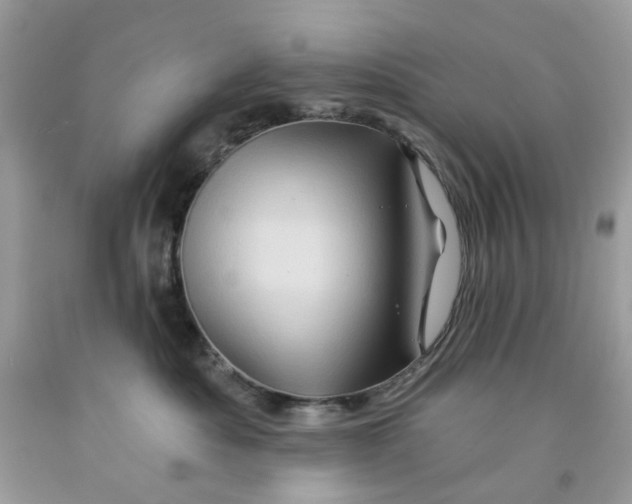 X0000091590525200709101043