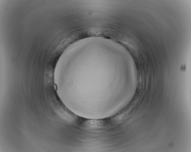 X0000091590526200709101043