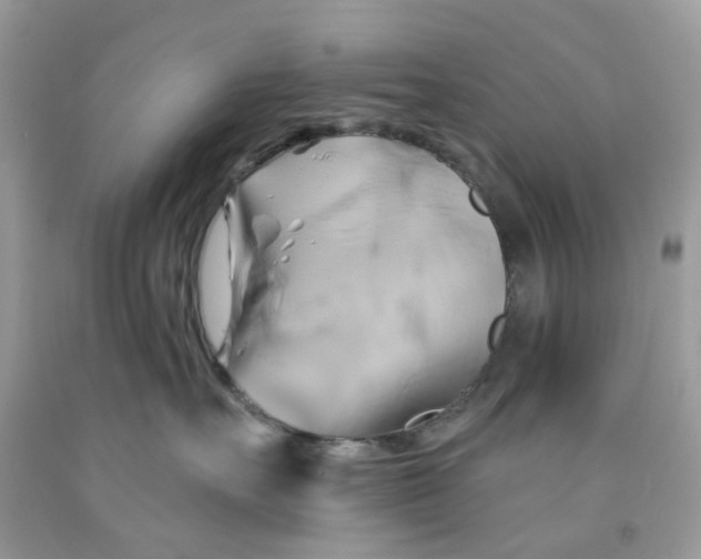 X0000091590527200709101043