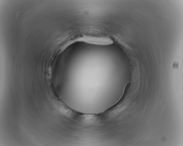 X0000091590528200709101043