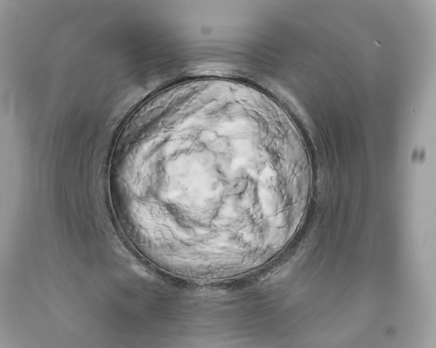 X0000091590529200709101042