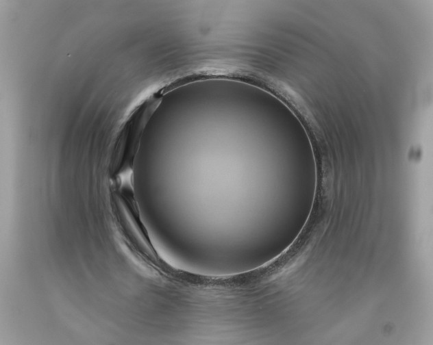 X0000091590530200709101042