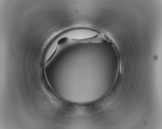 X0000091590531200709101042