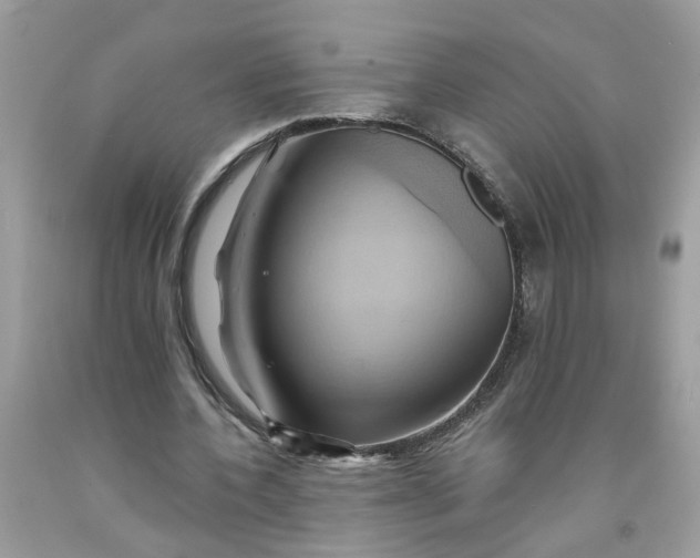 X0000091590532200709101042