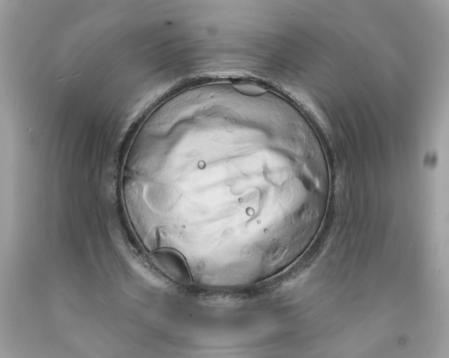 X0000091590533200709101042