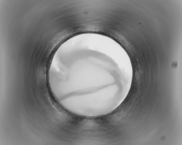 X0000091590534200709101042