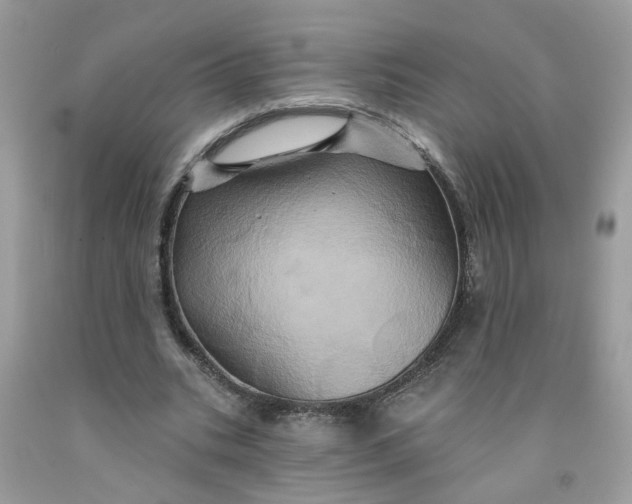 X0000091590535200709101042