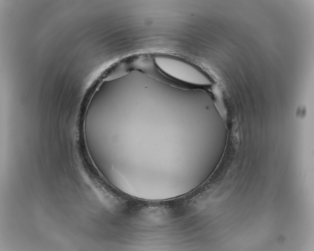 X0000091590536200709101042