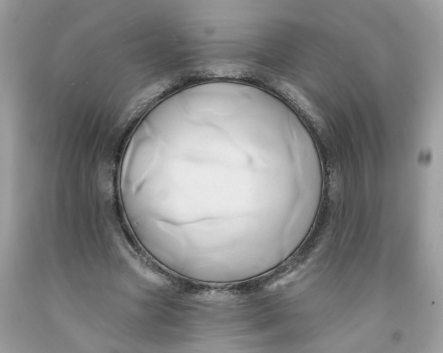 X0000091590537200709101042