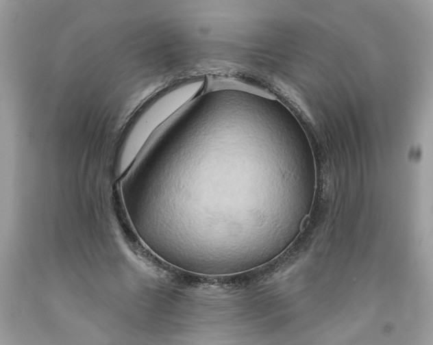 X0000091590538200709101042