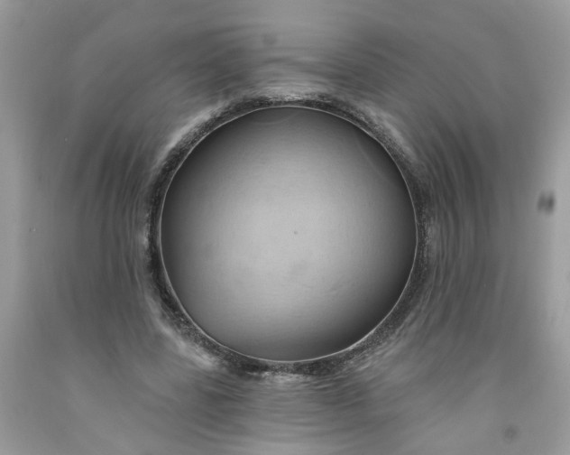 X0000091590539200709101042