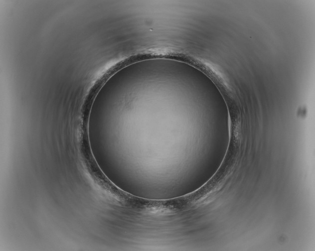 X0000091590540200709101042