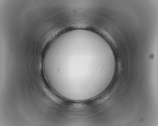 X0000091590541200709101042