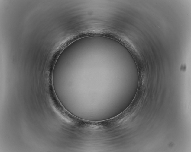 X0000091590542200709101042