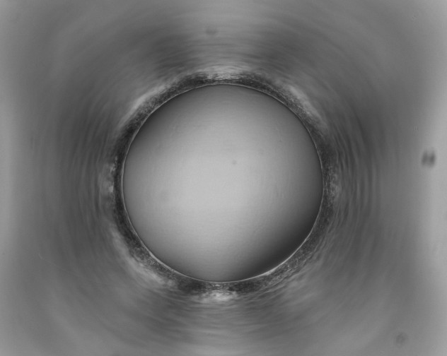 X0000091590543200709101042