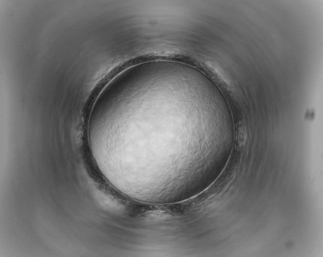 X0000091590544200709101042